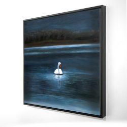 Magnifique cygne