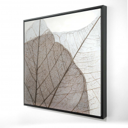 Feuilles séchées translucides