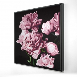 Pink peonies