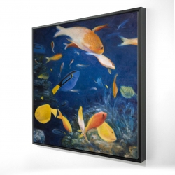 Poissons colorés sous l'océan