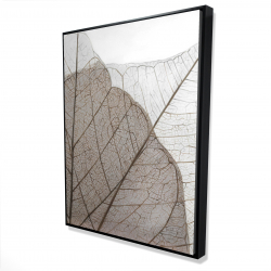 Feuilles séchées translucides