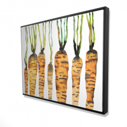 Watercolor carrots
