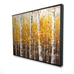 Birches by sunny day
