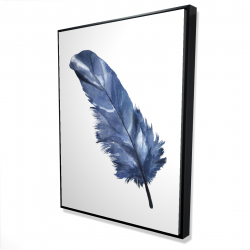 Blue feather