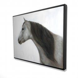 Winter horse