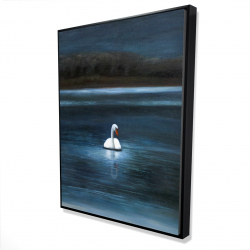 Magnifique cygne
