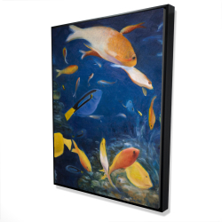 Poissons colorés sous l'océan