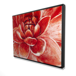 Red chrysanthemum