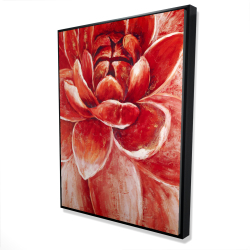 Red chrysanthemum