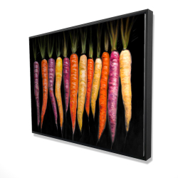Variétés de carottes