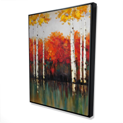 Bouleaux en automne