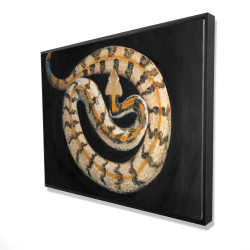 Southern timber rattlesnake