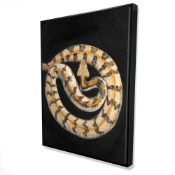 Southern timber rattlesnake