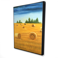 Paysage de la campagne