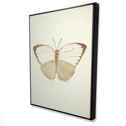 Sepia butterflies