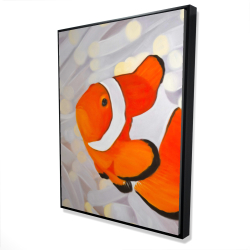 Poissons clown