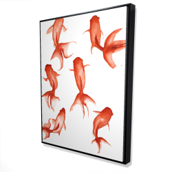 Petits poissons rouge
