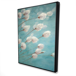 Cotton grass plants in the wind
