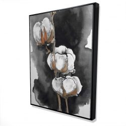 Fleurs de cotton