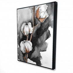 Fleurs de cotton sur fond noir