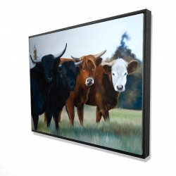 Framed 36 x 48 - 3D - Four highland cows