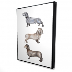 Framed 36 x 48 - 3D - Small dachshund dog