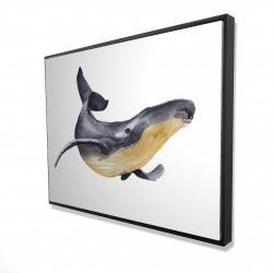 Baleine bleue aquarelle