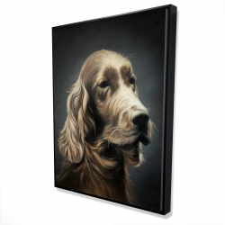 Field spaniel