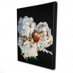 Pivoine en floraison