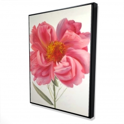 Framed 36 x 48 - 3D - Pink peony flower