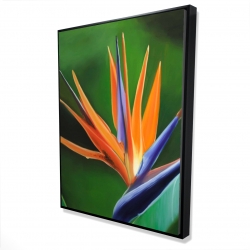 Framed 36 x 48 - 3D - Bird of paradise flower 