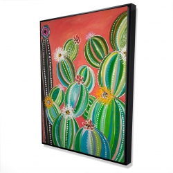 Cactus en arc-en-ciel