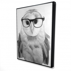 Framed 36 x 48 - 3D - Realistic barn owl with glasses