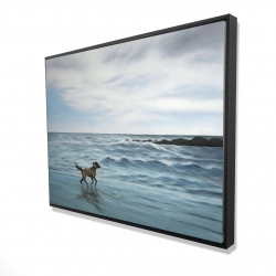 Chien à la plage