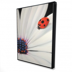 Framed 36 x 48 - 3D - White daisy and ladybug