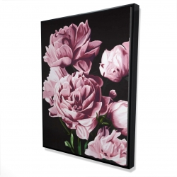 Pink peonies