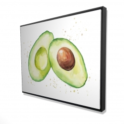 Avocat ouvert à l'aquarelle