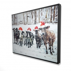 Curious christmas cows