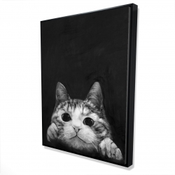 Chat curieux
