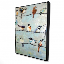 Small colorful birds