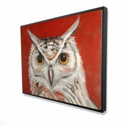 Colorful eagle owl