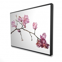 Branche de fleurs de cerisier