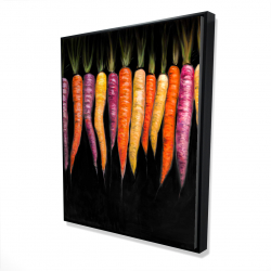 Variétés de carottes