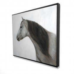 Winter horse