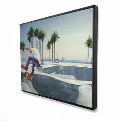 Planchodrome californie
