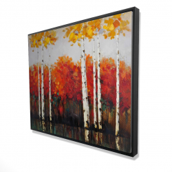 Bouleaux en automne