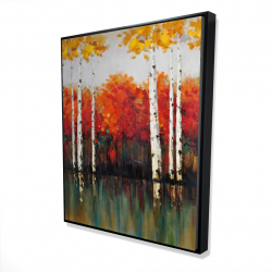 Bouleaux en automne