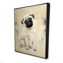 Petit chien pug