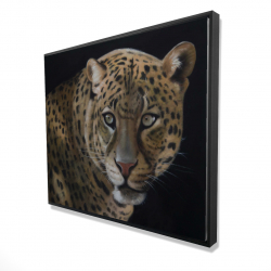Realistic fierce leopard