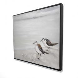 Deux oiseaux bécasseau